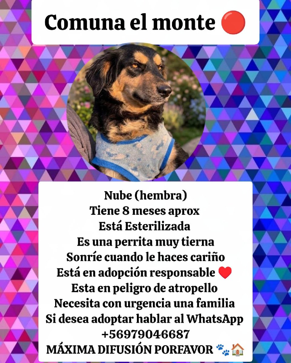 Foto de Nube