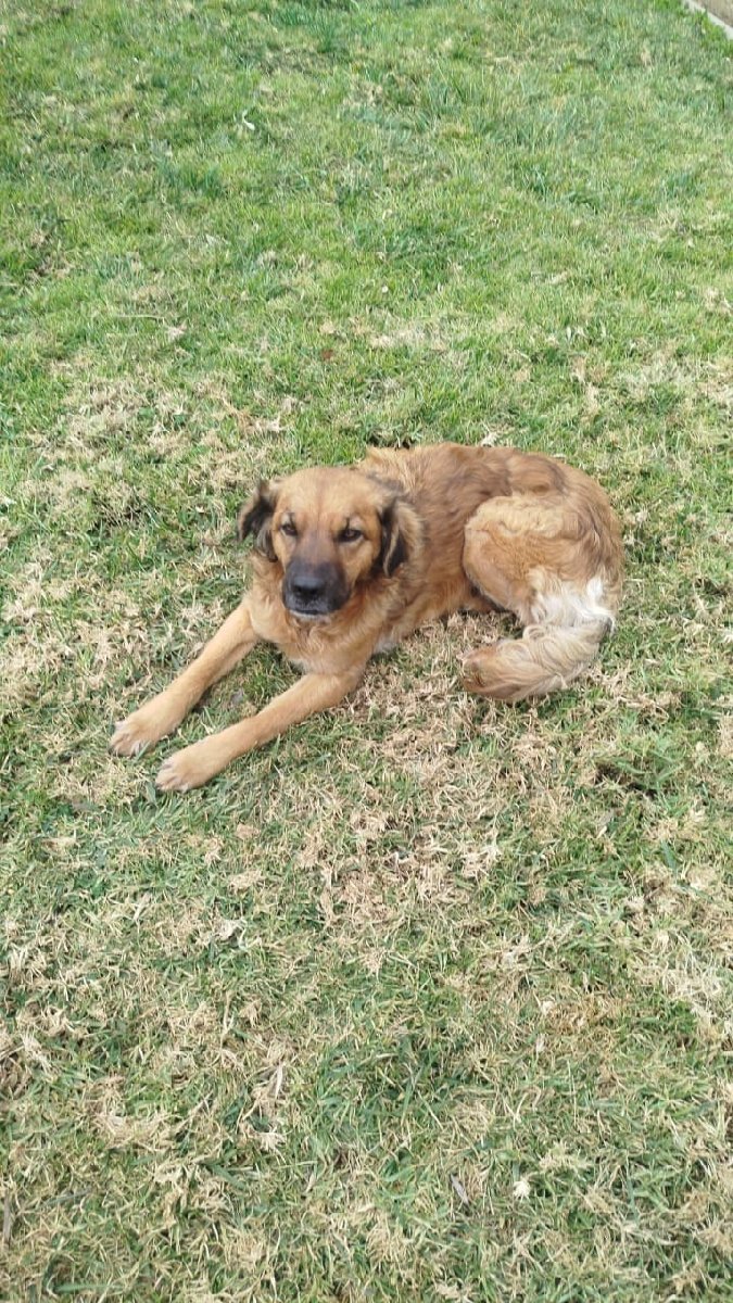 Foto de Kira