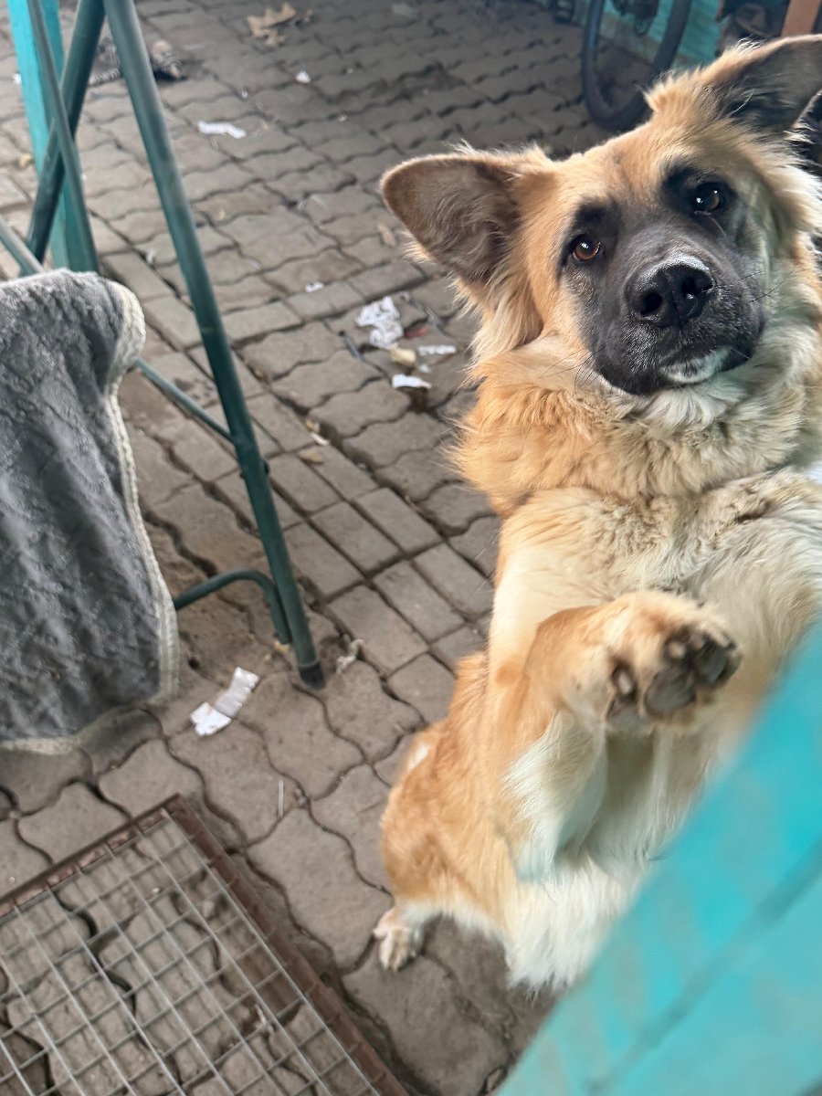 Foto de Micaela