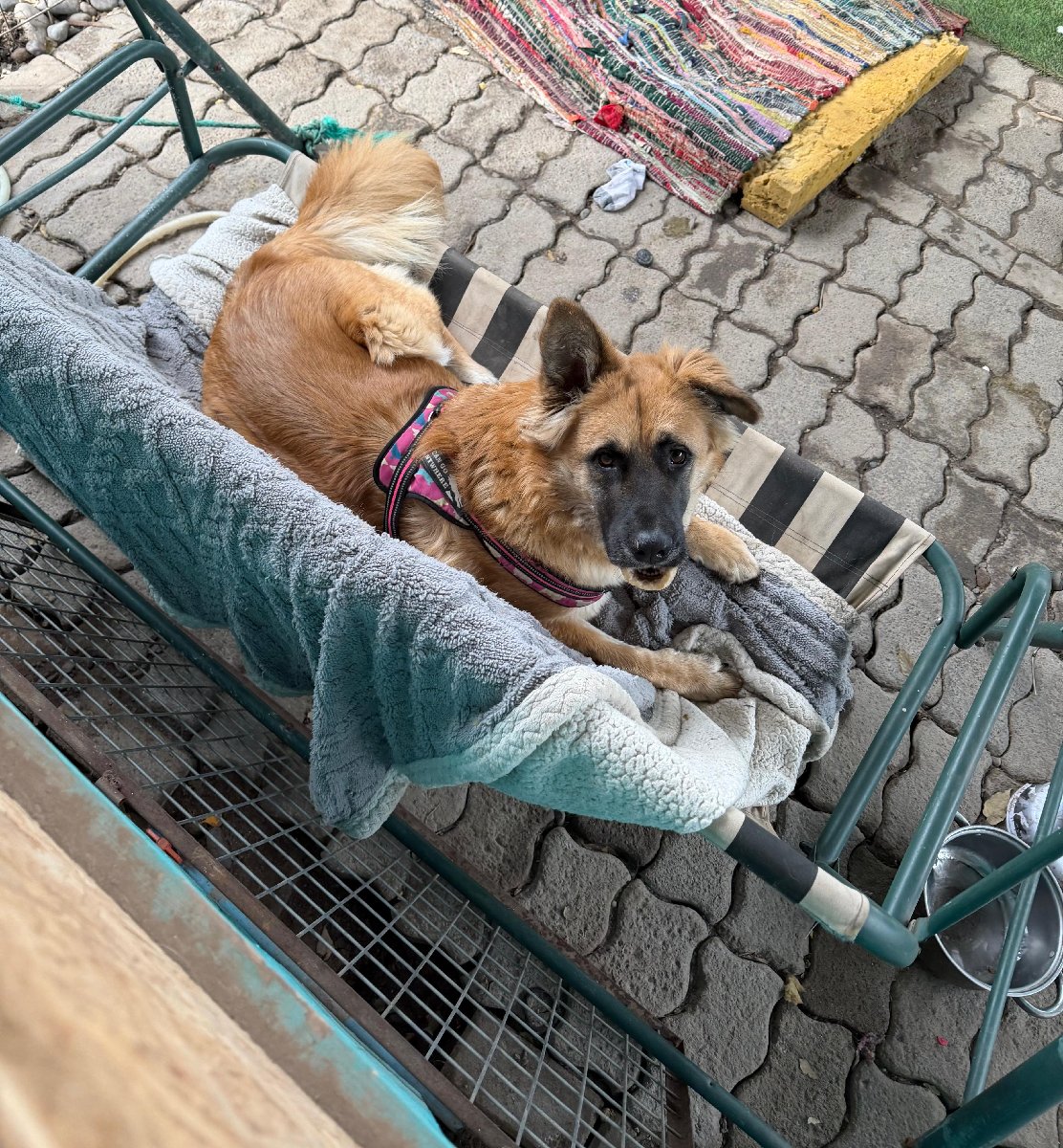 Foto de Micaela