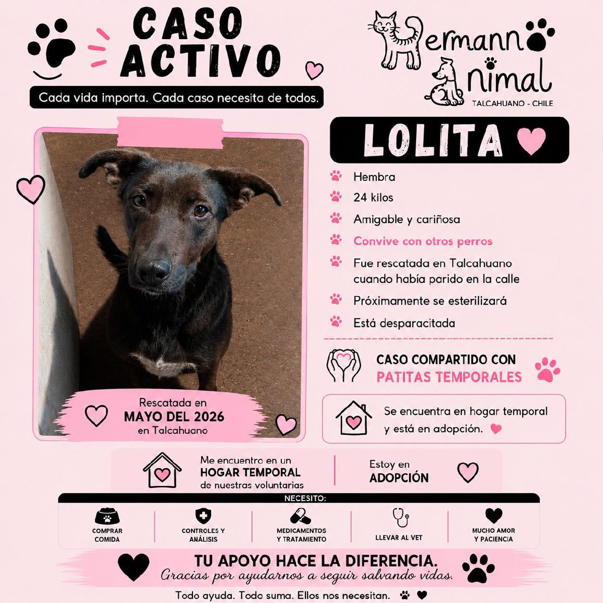 Foto de lolita