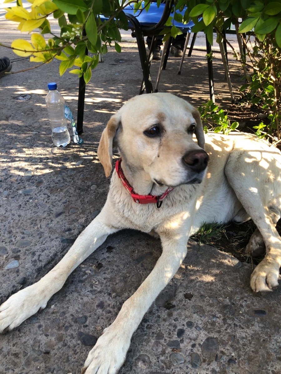 Foto de Jack