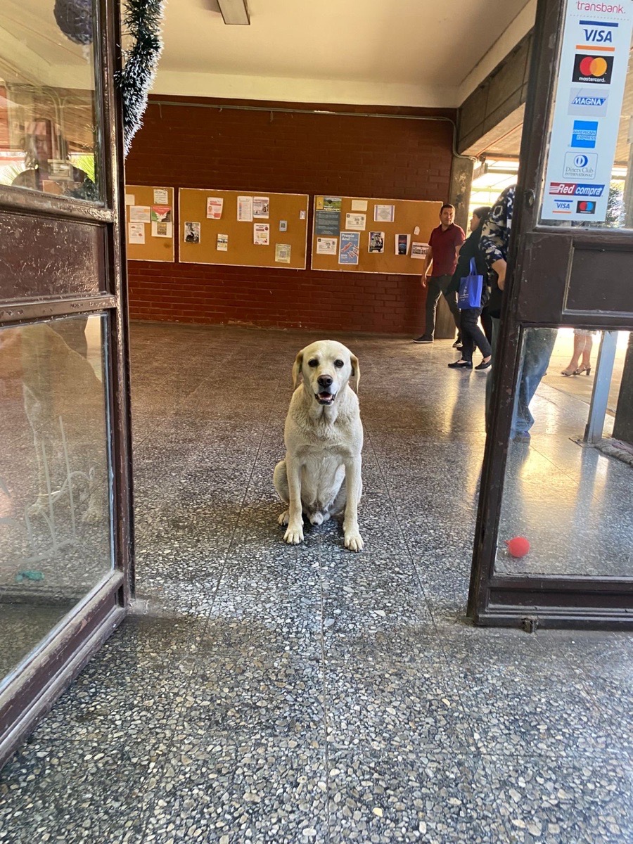 Foto de Jack