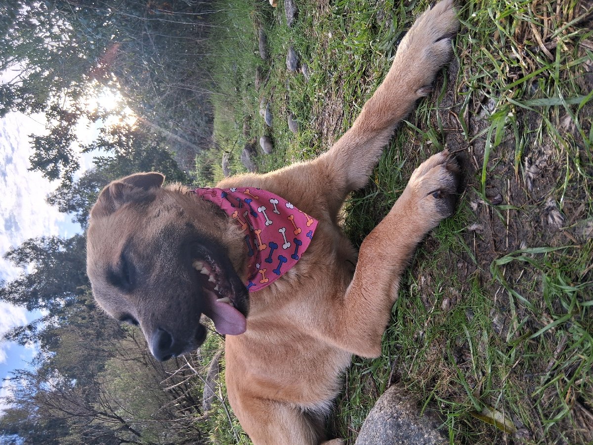 Foto de Luna