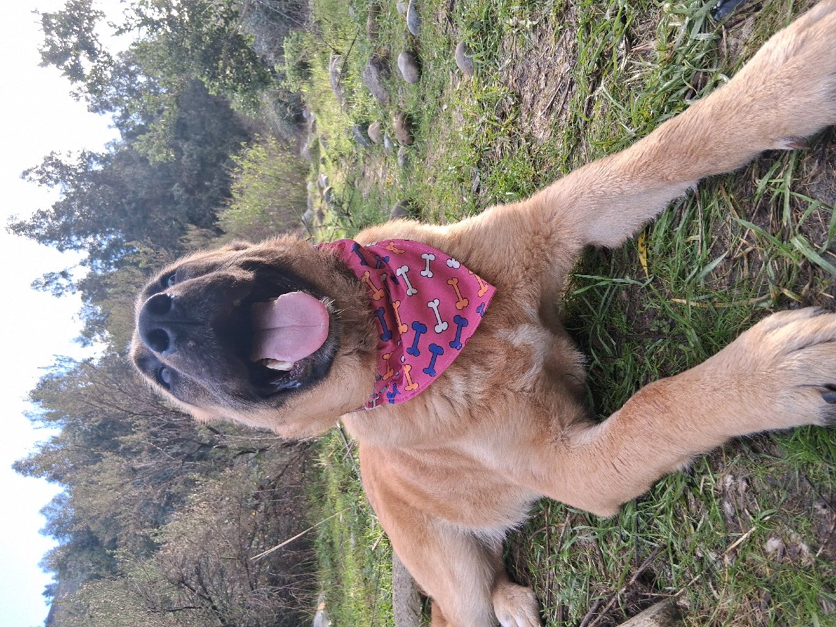 Foto de Luna