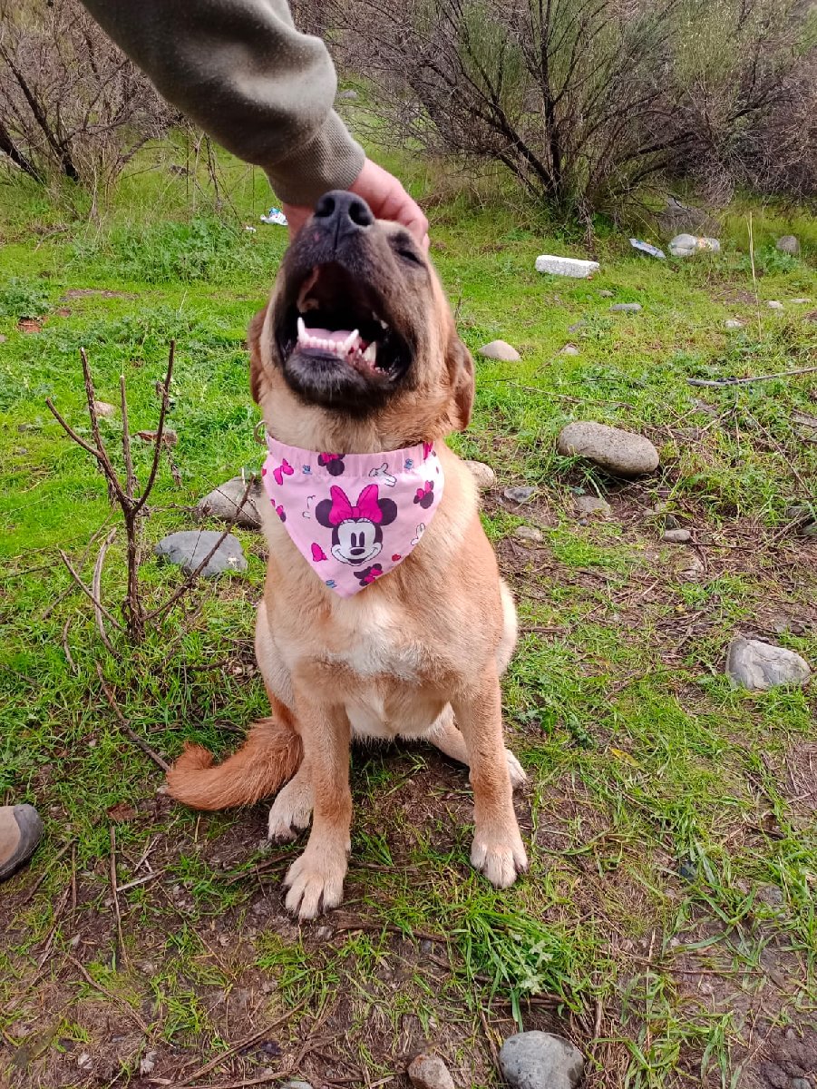 Foto de Luna