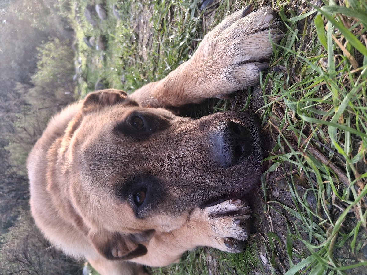 Foto de Luna