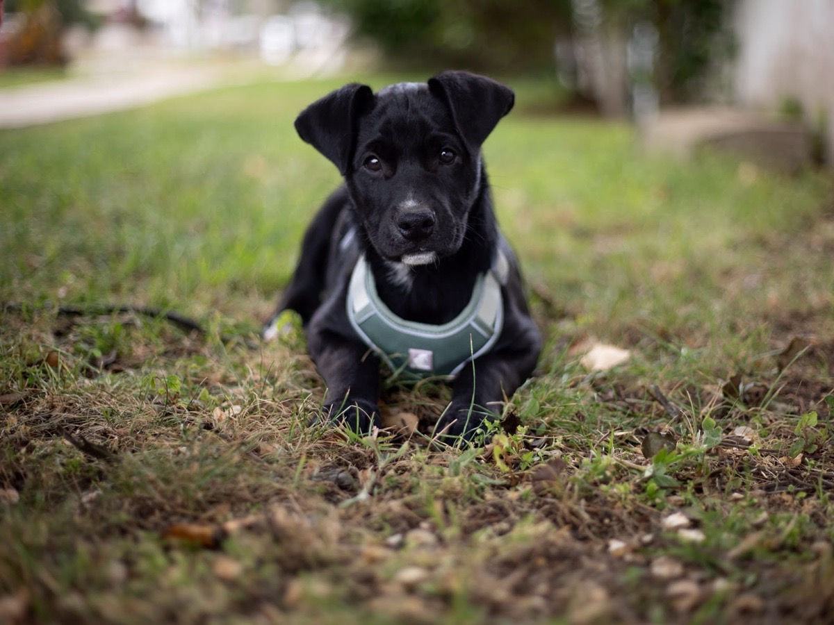 Foto de EDGAR