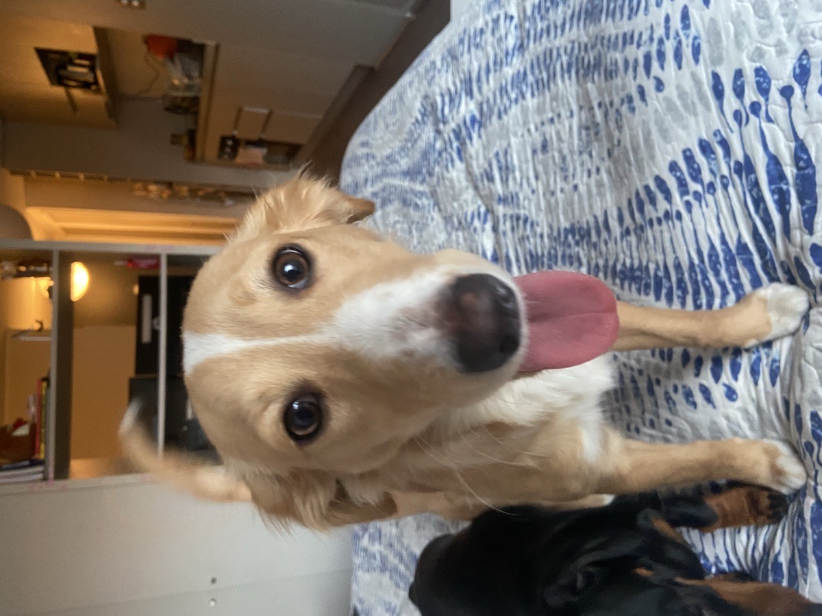 Foto de Polly