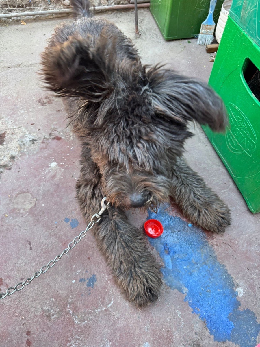 Foto de princesa