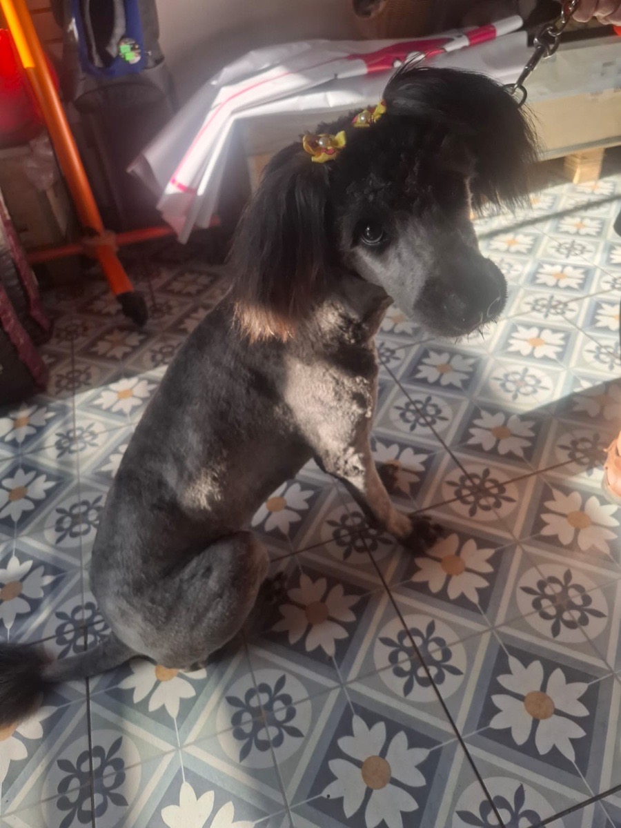 Foto de princesa