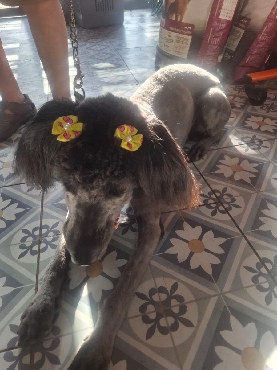 Foto de princesa
