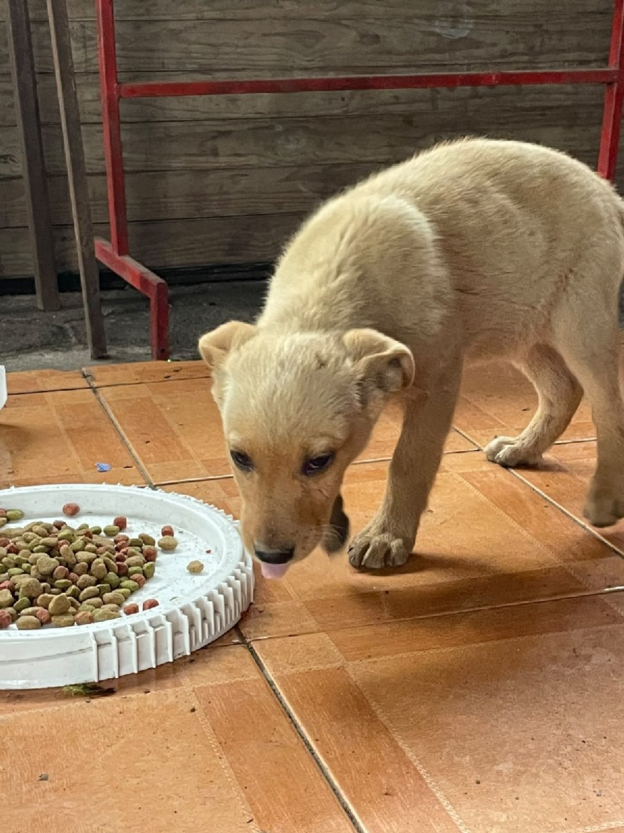Foto de Zeus