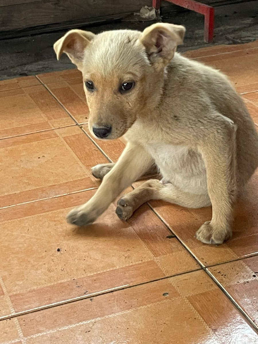 Foto de Zeus