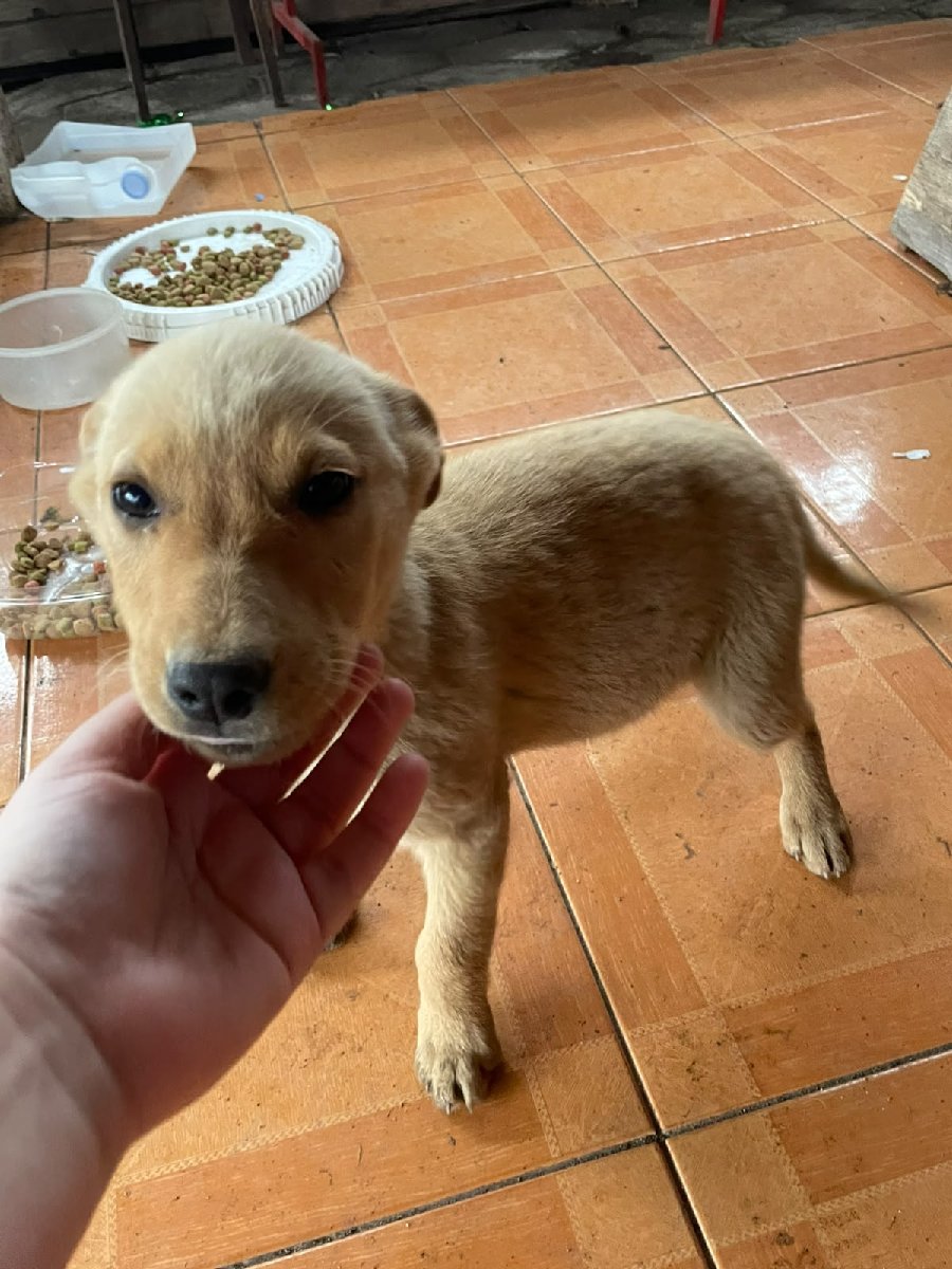 Foto de Zeus