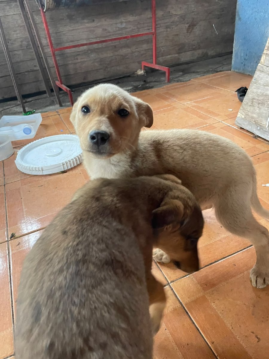Foto de Zeus