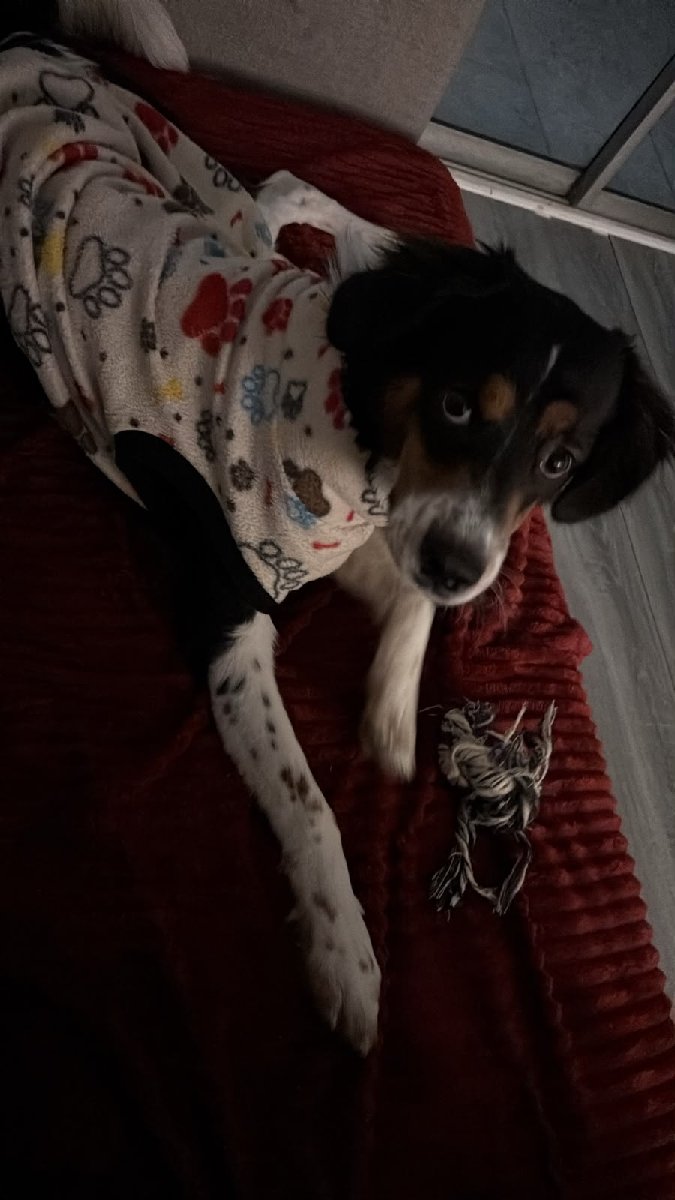 Foto de Max