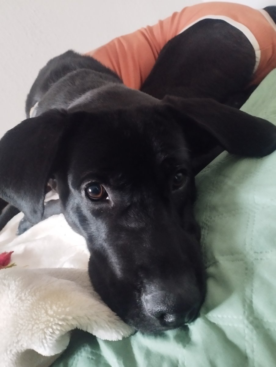 Foto de kuru