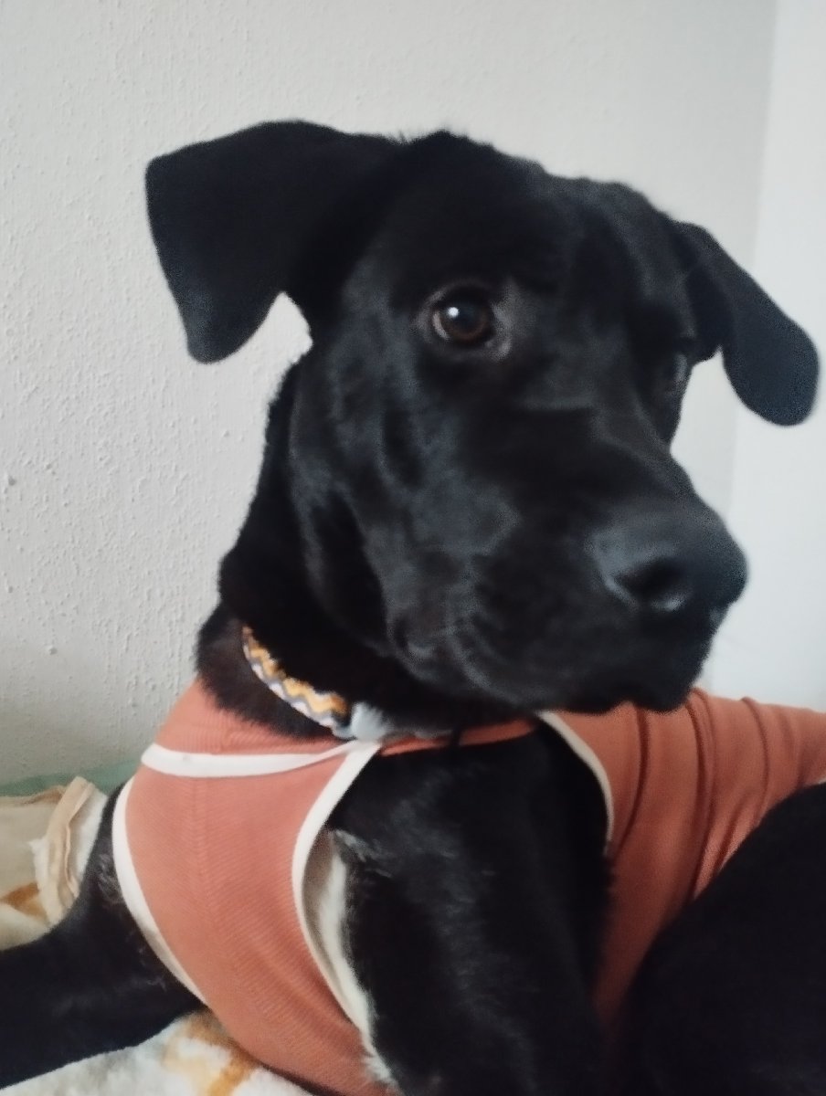 Foto de kuru