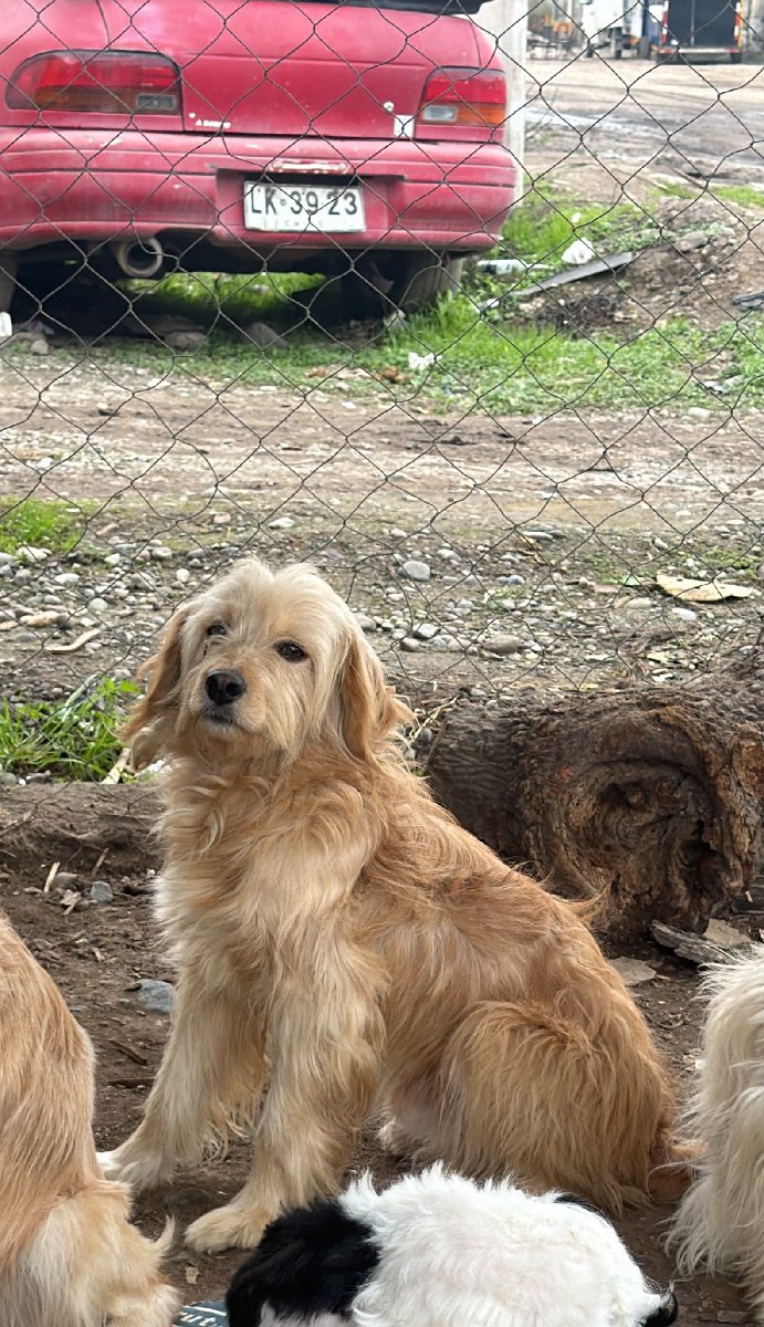 Foto de Osito