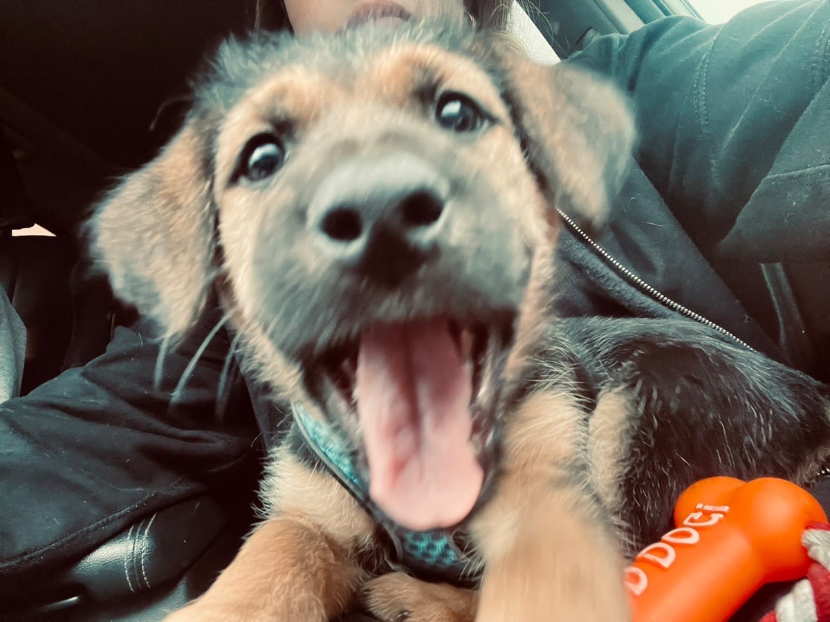 Foto de clarita