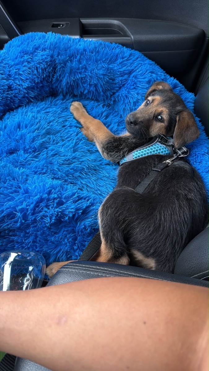 Foto de clarita