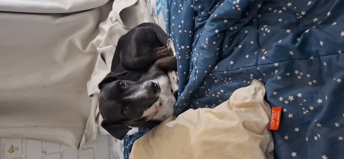 Foto de Omar