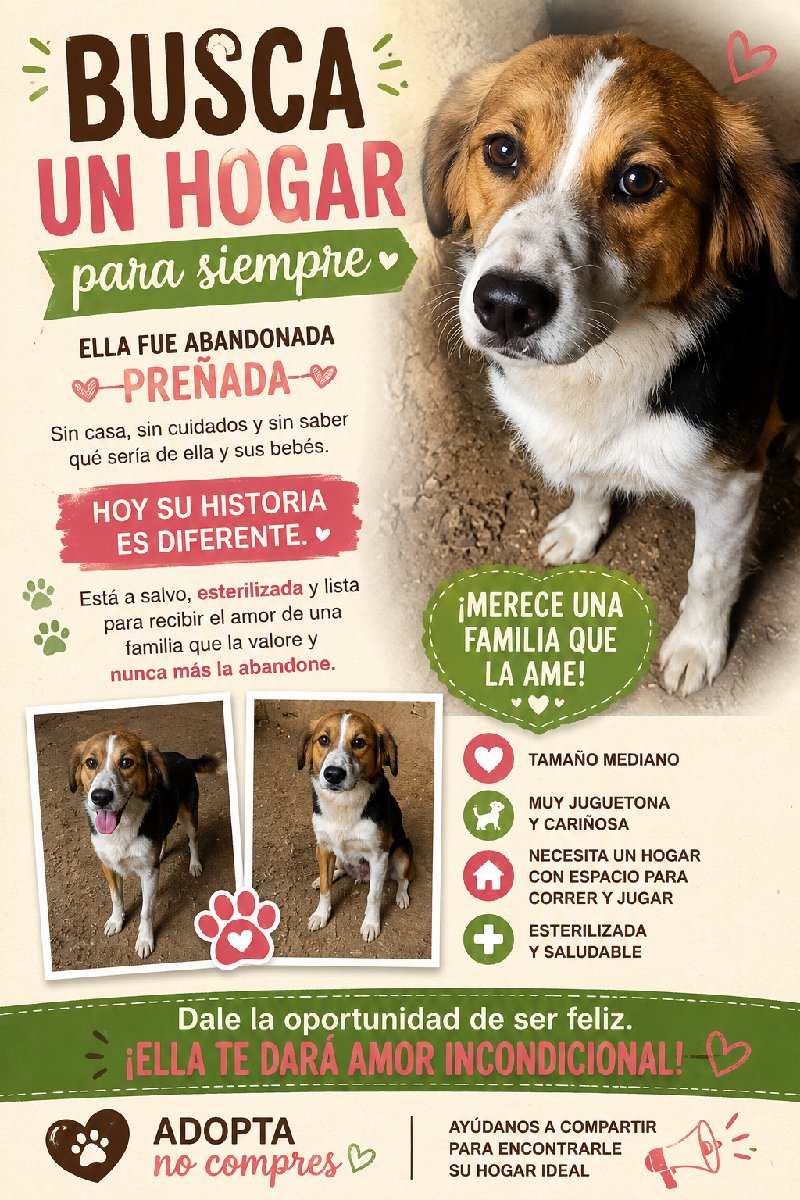 Foto de Perrito
