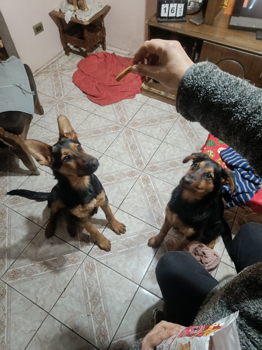 Foto de š¾ ADOPCIĆN CONJUNTA URGENTE PARA DOS HERMANOS š¾