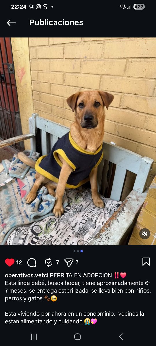 Foto de ramona