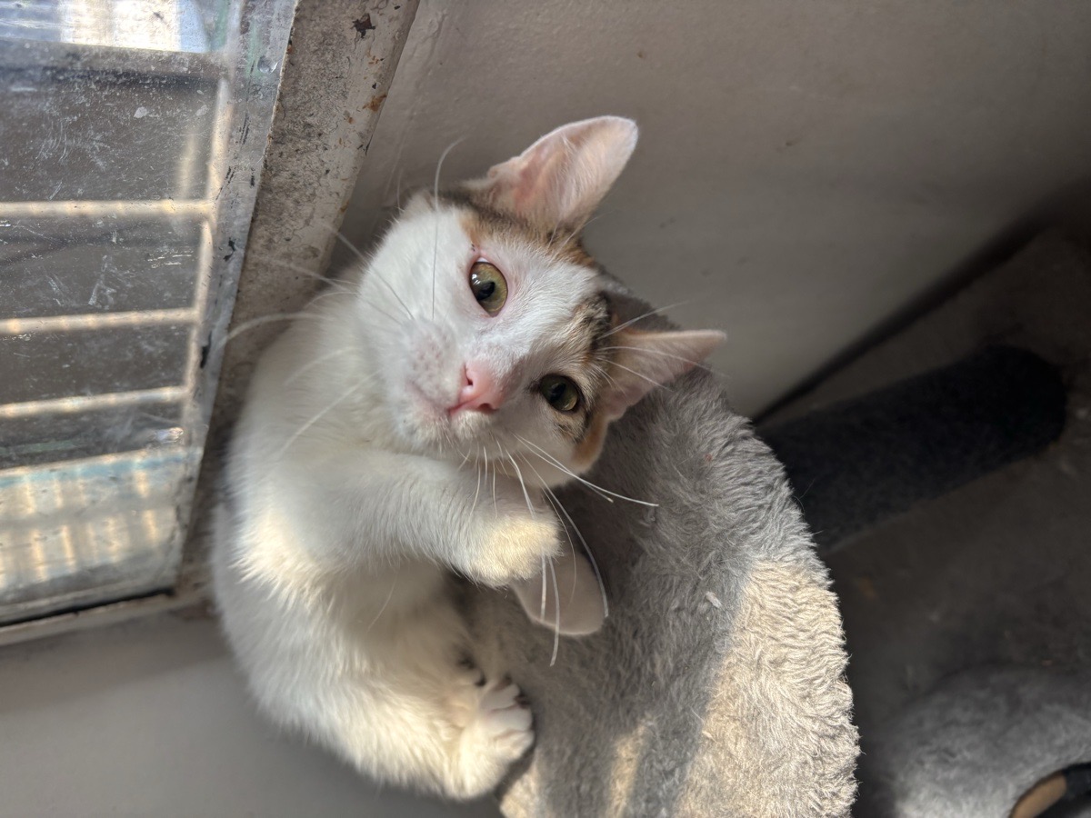 Foto de Princesa