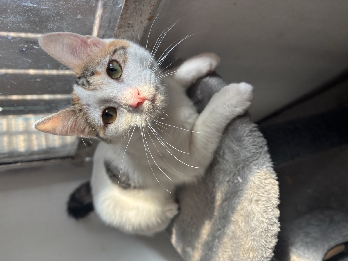 Foto de Princesa