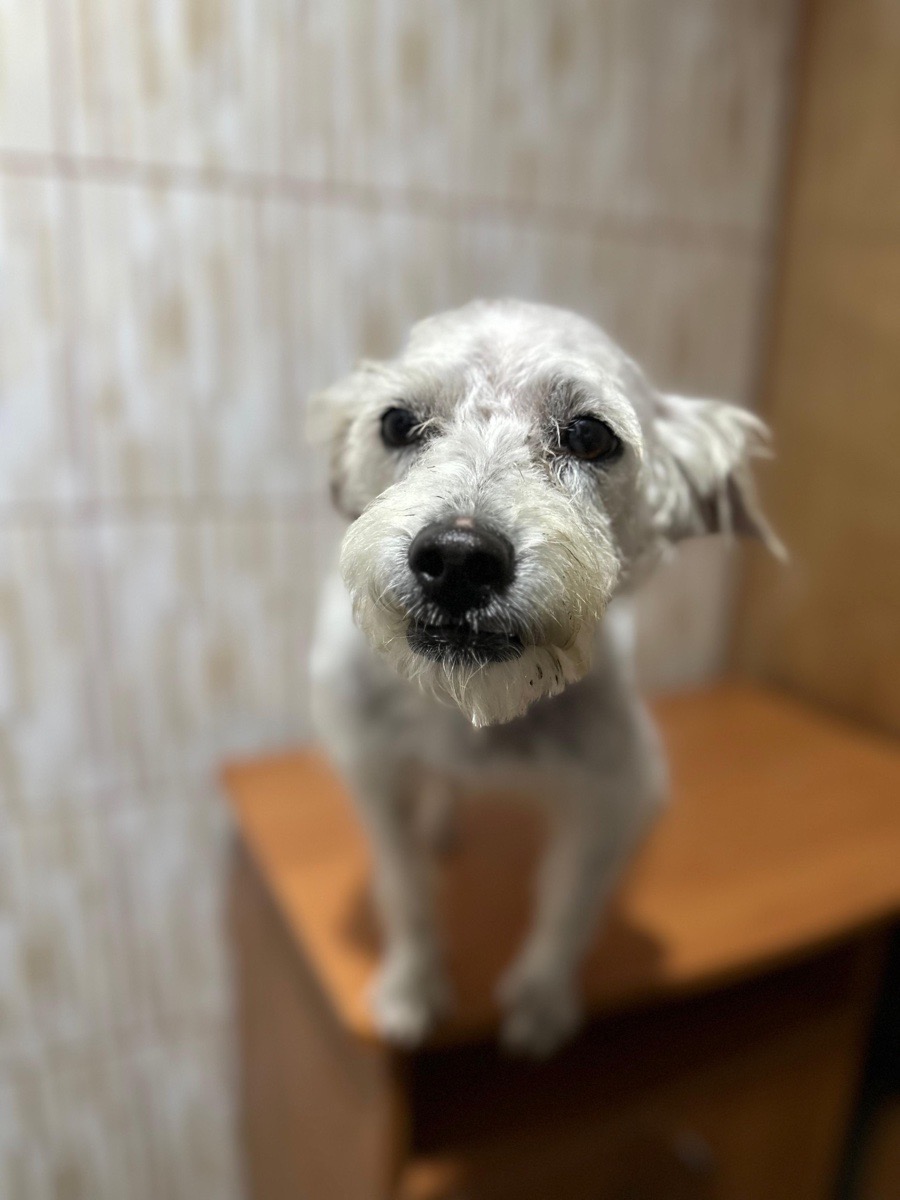 Foto de Blanqui