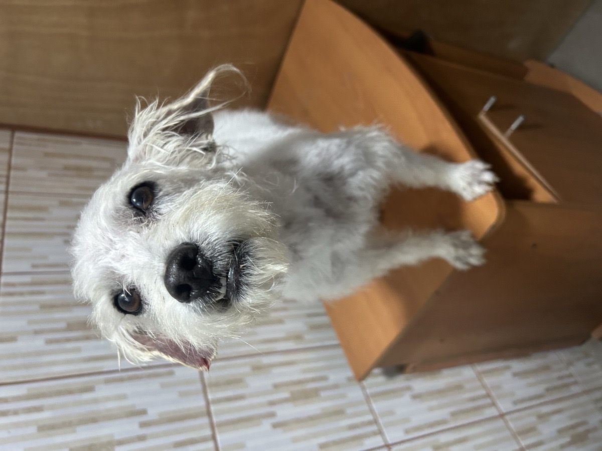 Foto de Blanqui