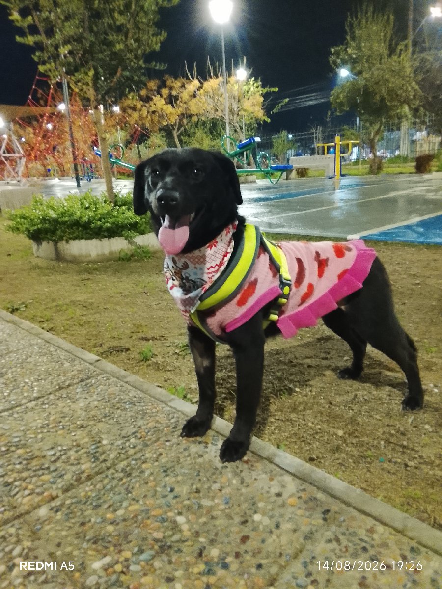 Foto de luna