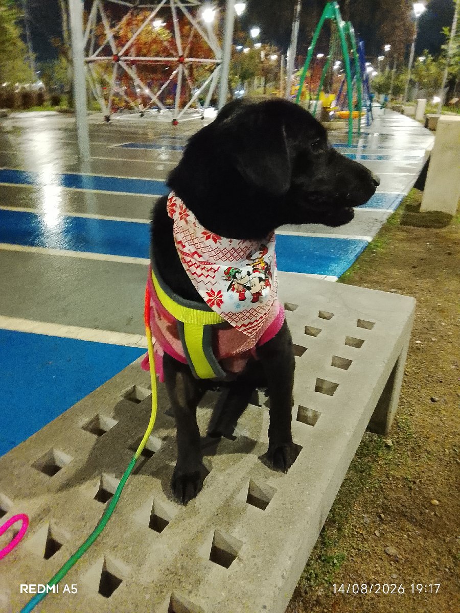 Foto de luna