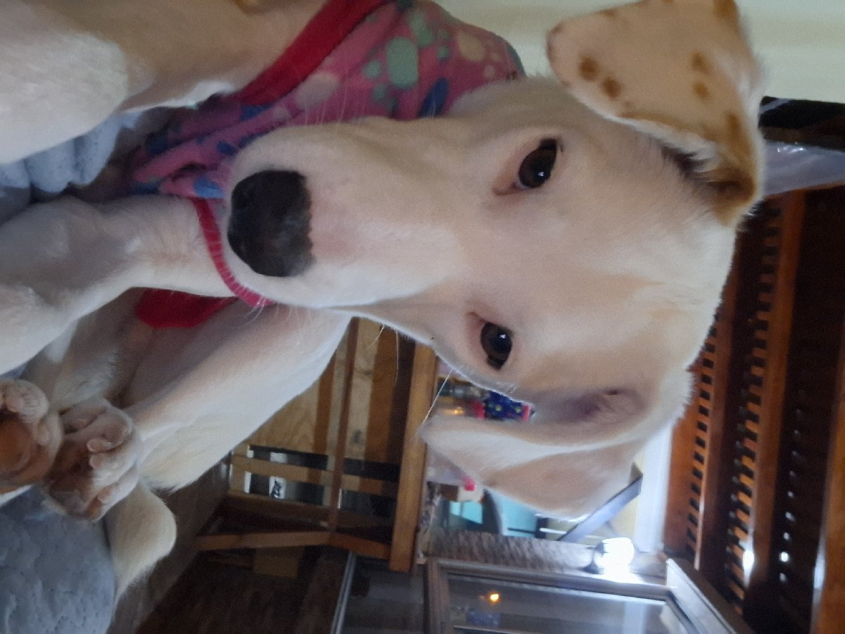 Foto de Lulú
