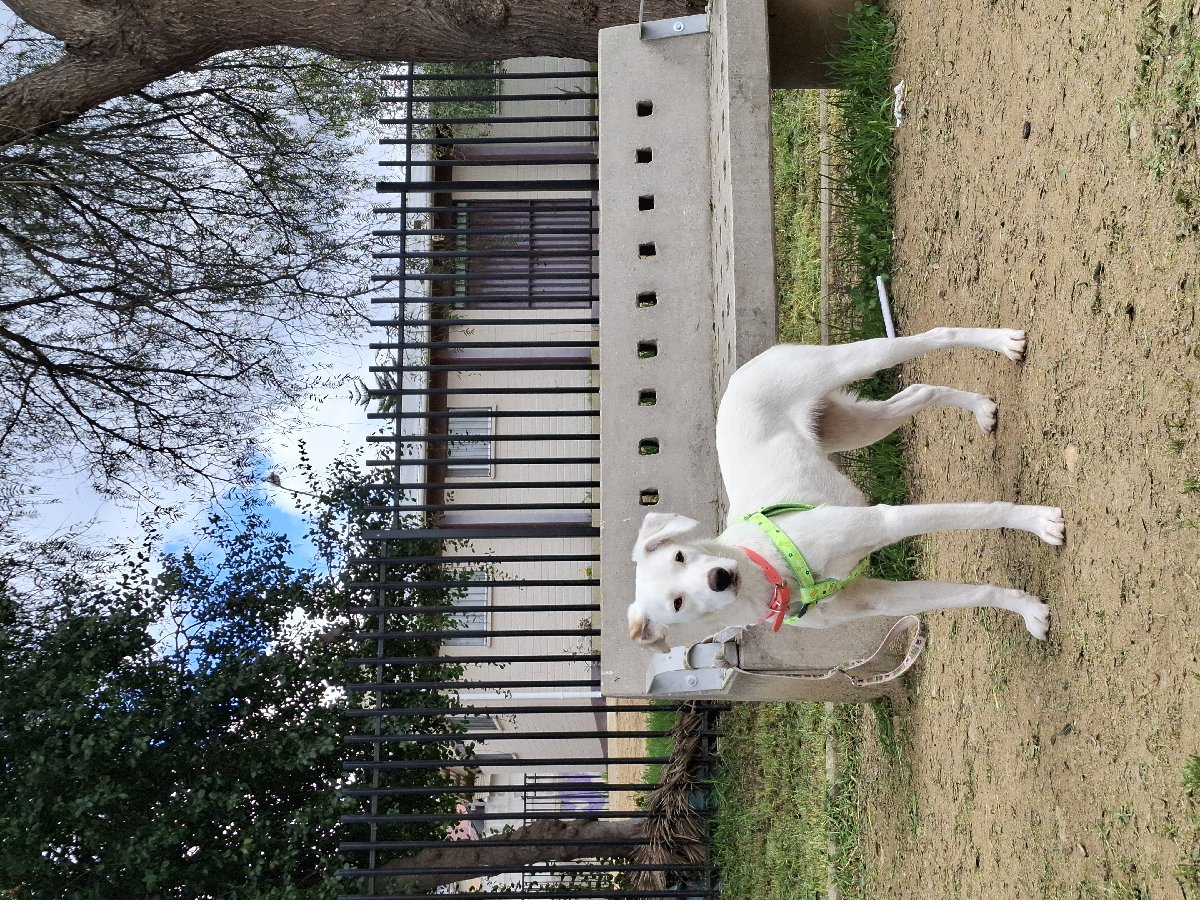 Foto de Lulú