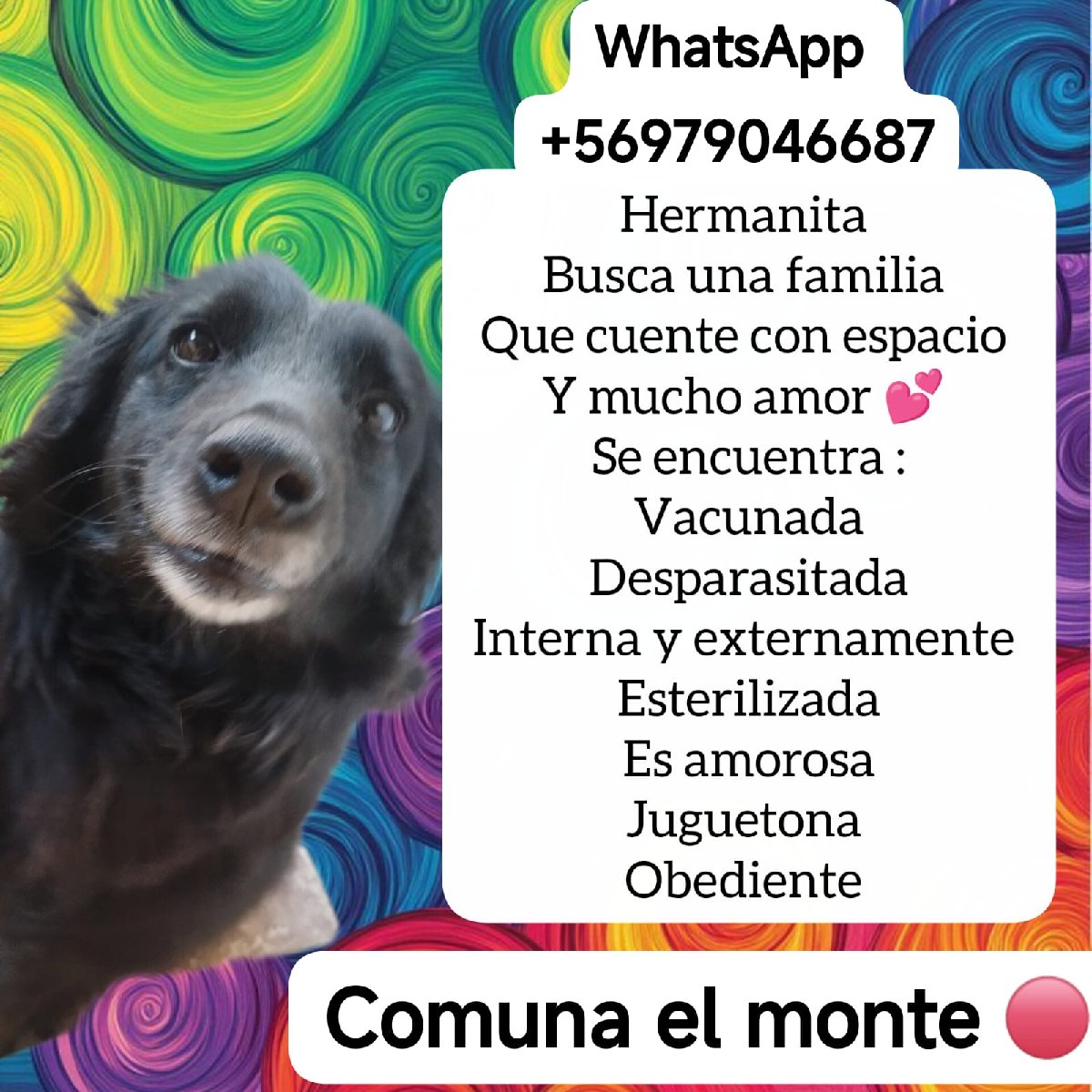Foto de Hermanita