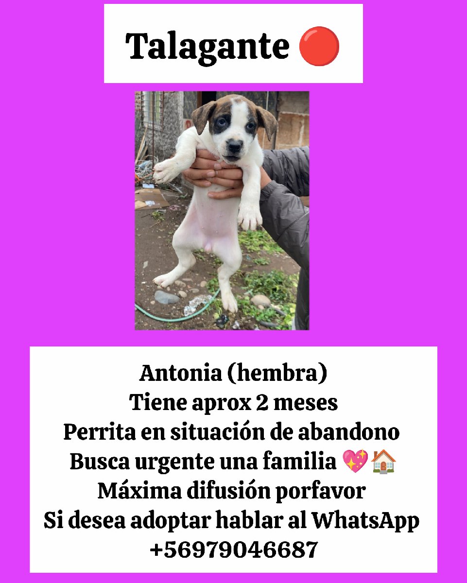 Foto de Antonia ADOPTADA 💓🥹