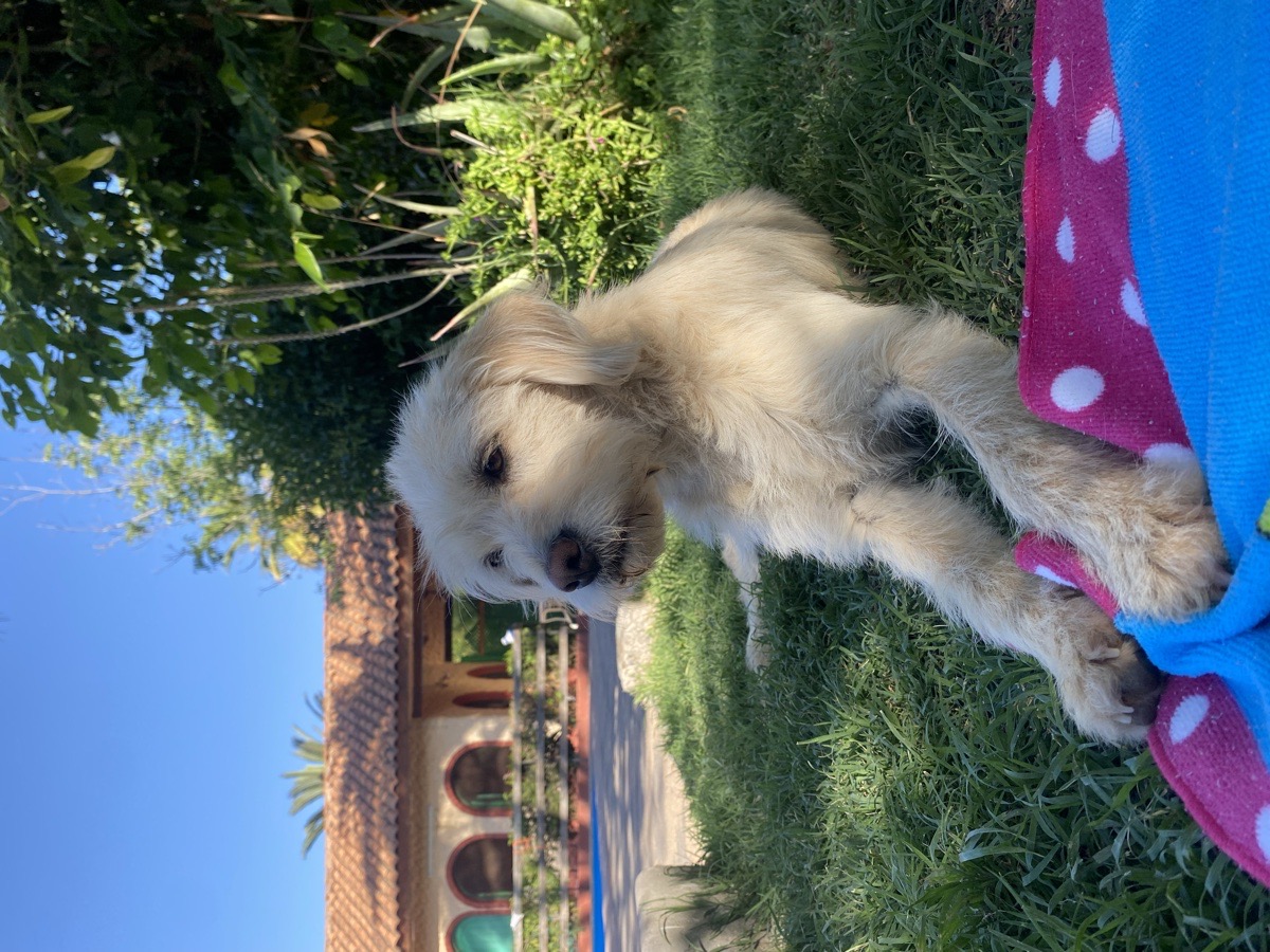 Foto de Lía