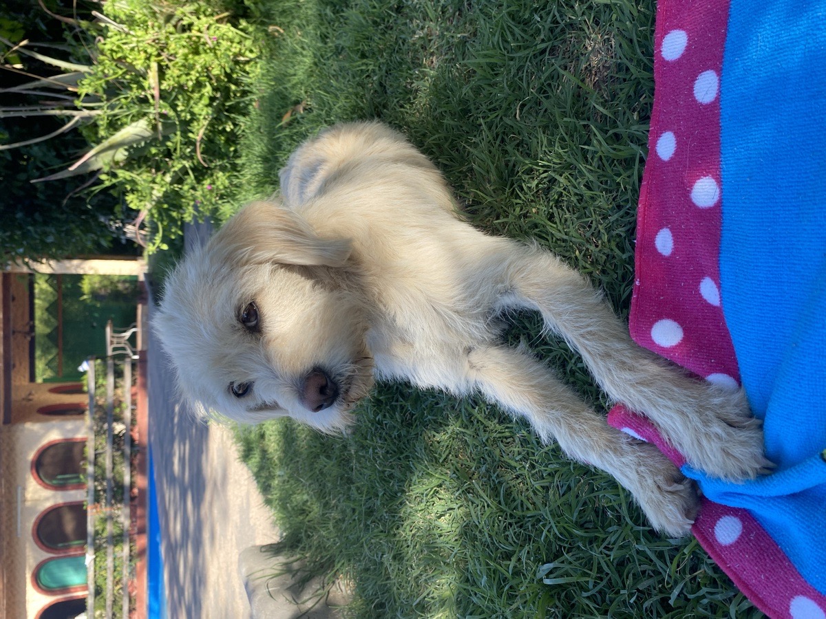Foto de Lía
