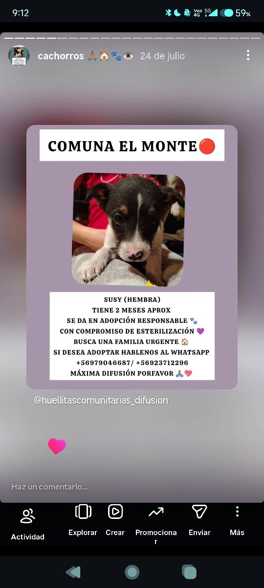 Foto de Susy y sus hermanitos buscan una familia urgente 🔴