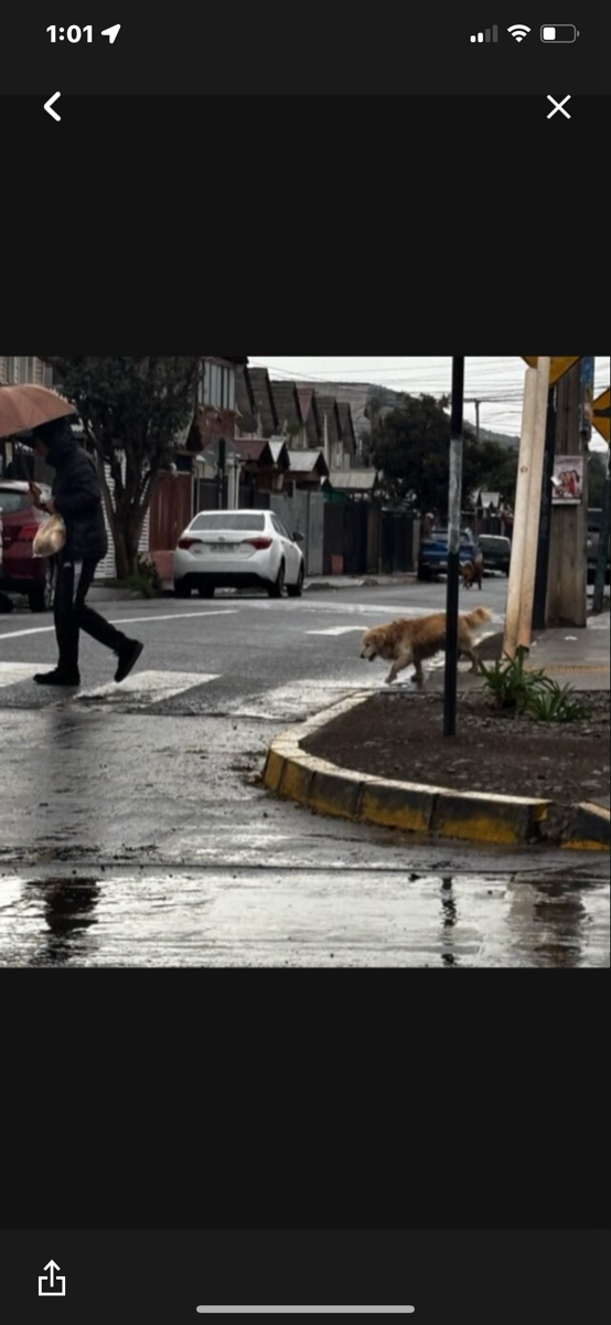 Foto de sin nombre aún