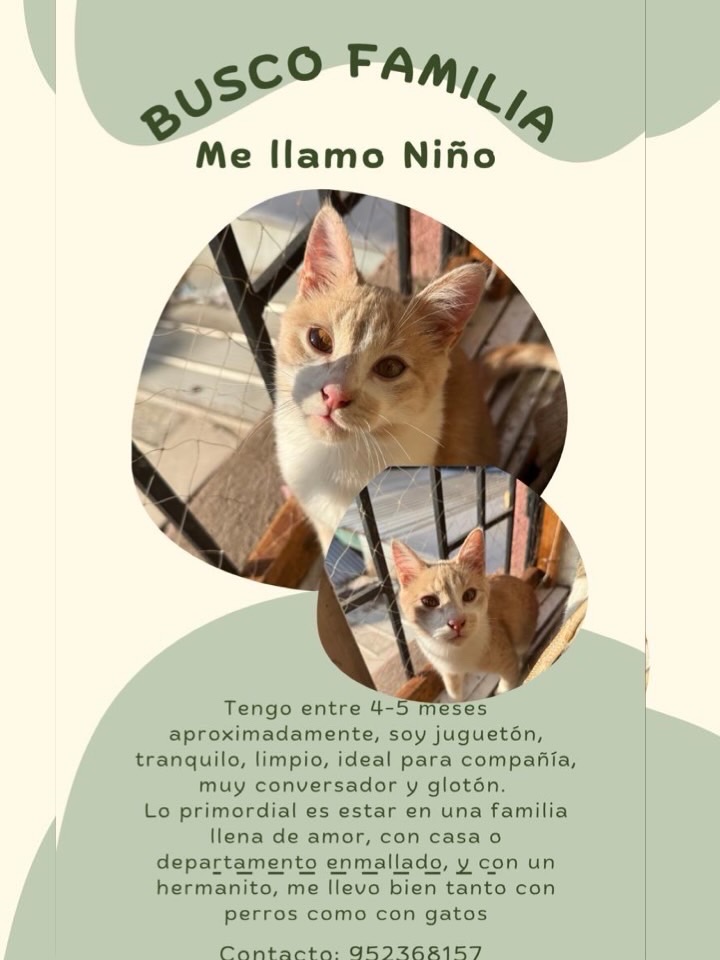 Foto de Niño