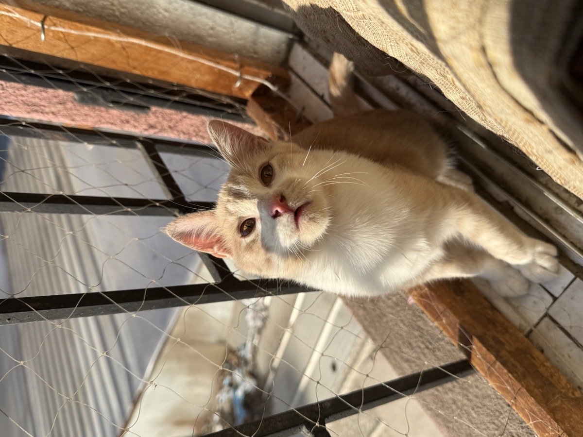 Foto de Niño