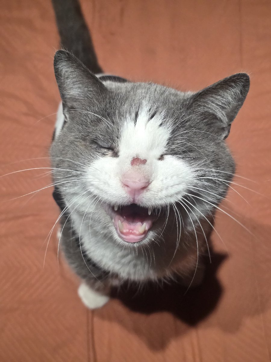 Foto de Benito💛