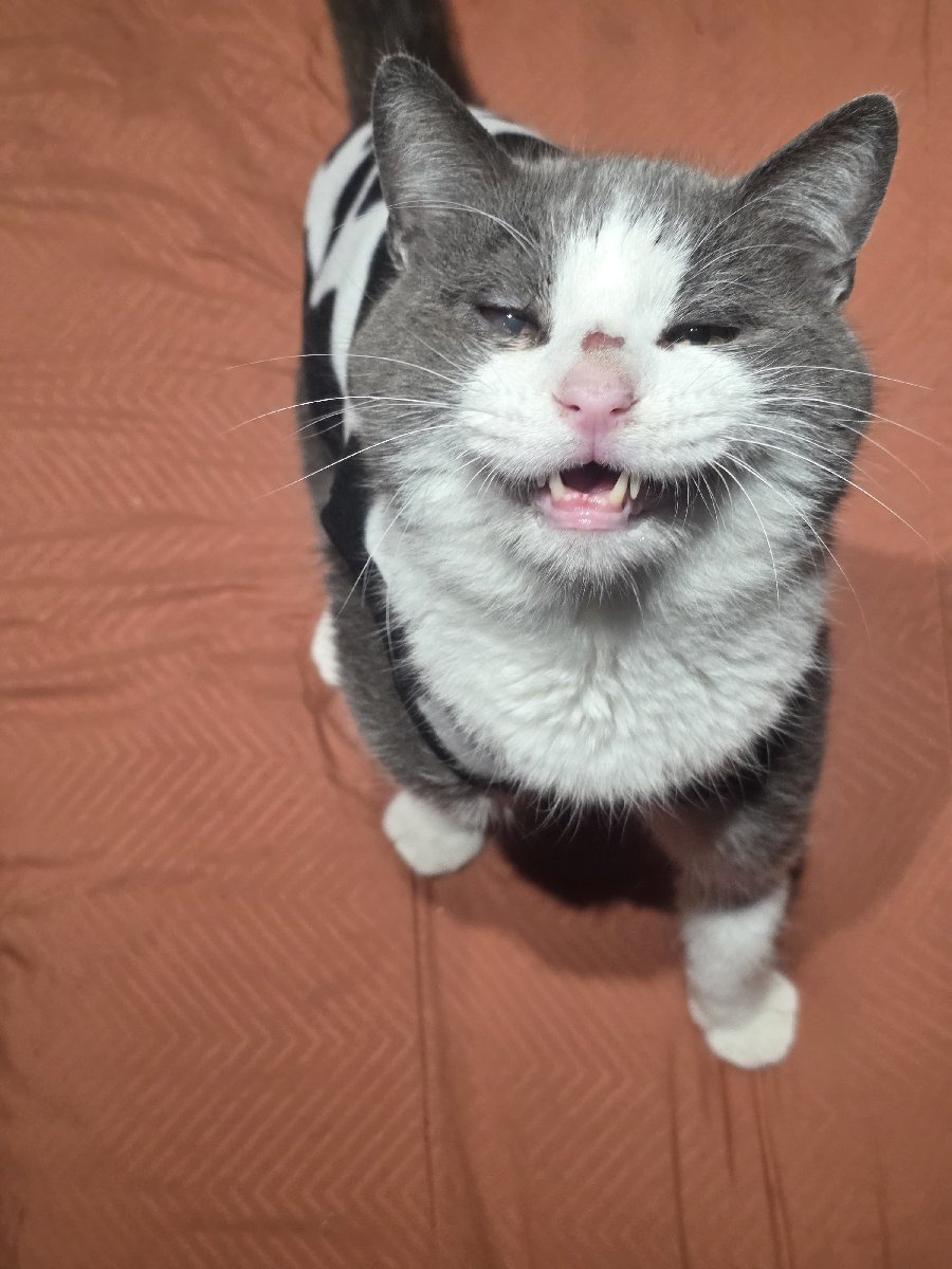 Foto de Benito💛