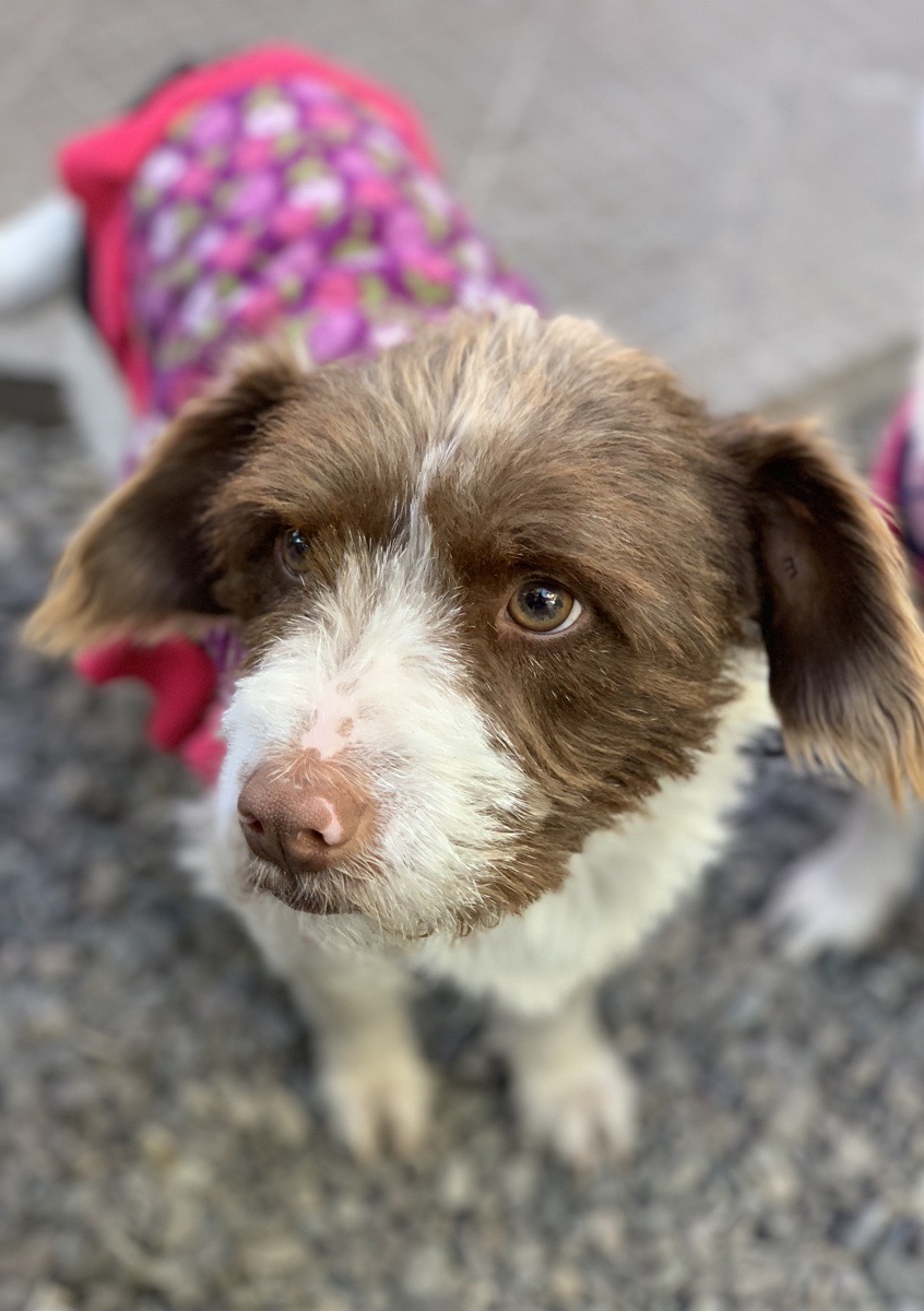 Foto de Luna María