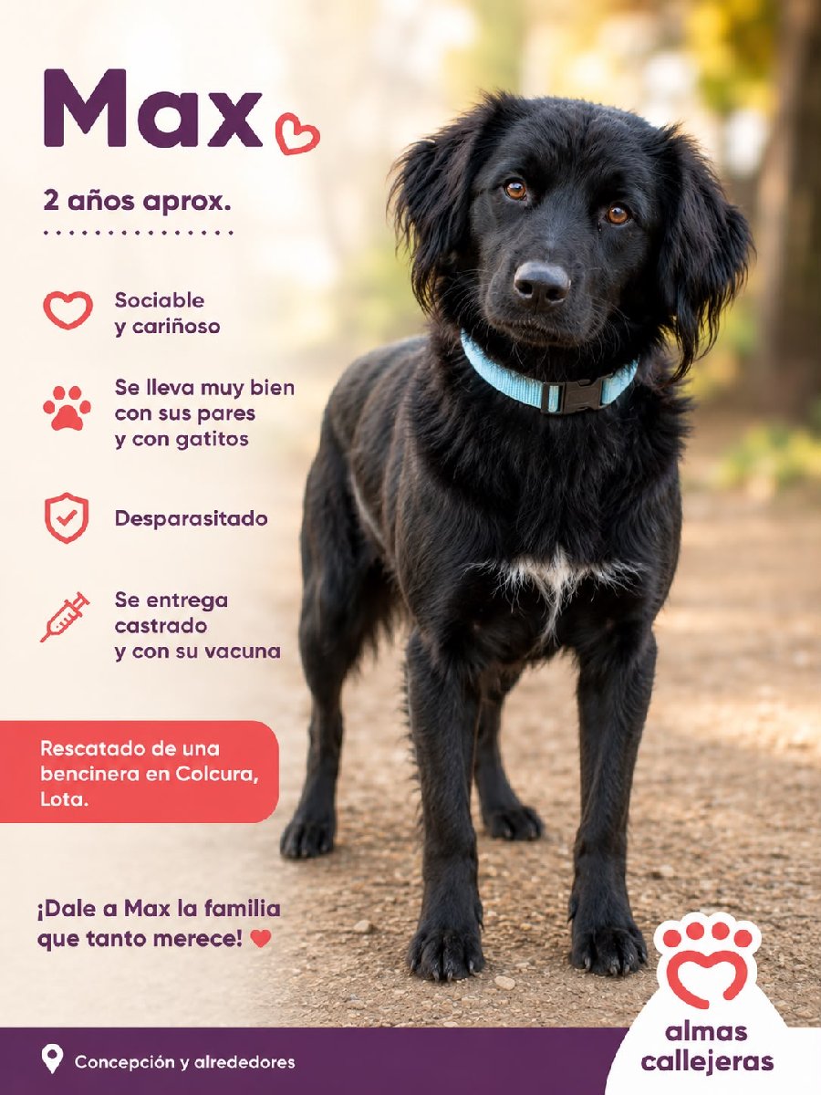 Foto de MAX